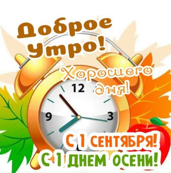 https://static48.tgcnt.ru/posts/_0/2b/2b3c35afca15a3e3998522f823da9be6.jpg