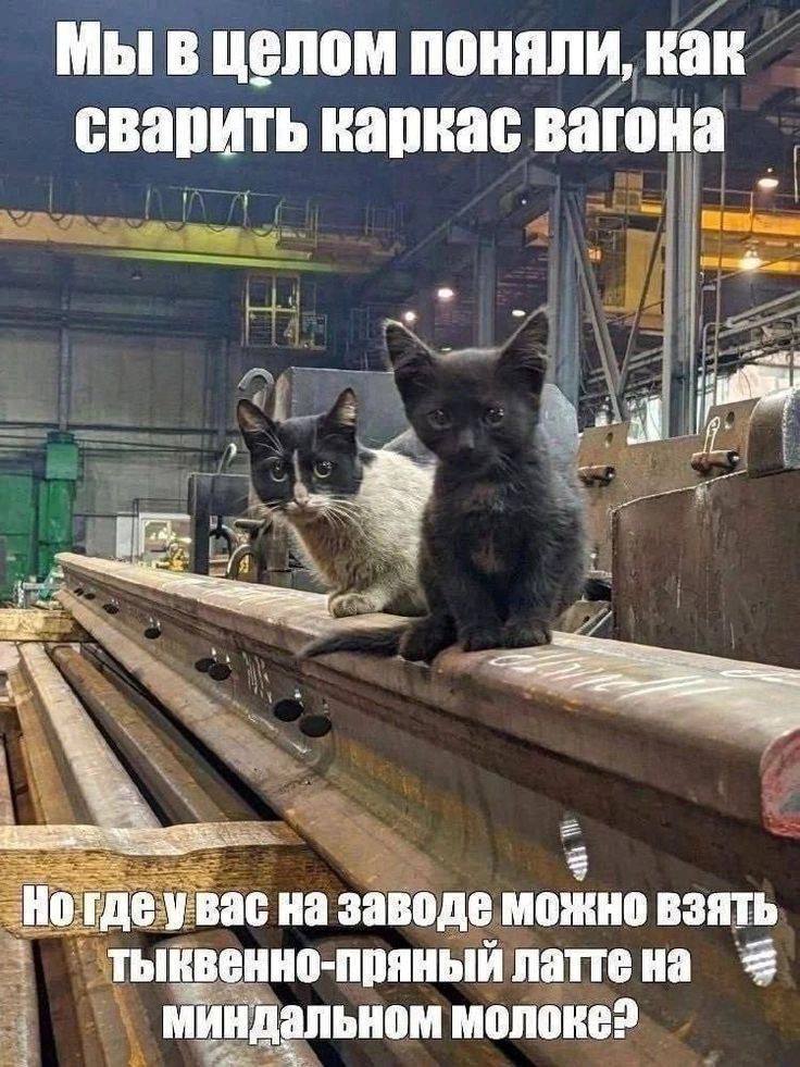 Попец которого нам не хватало на экранах
